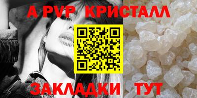 СК Каменск-Шахтинский